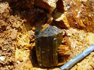 Large complete elbaite from MMP10-04