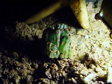 The golden cookeite sands yielded many tourmalines