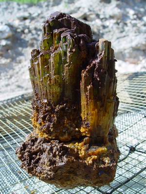 20cm tourmaline recovered Aug 2 from MMP11-05